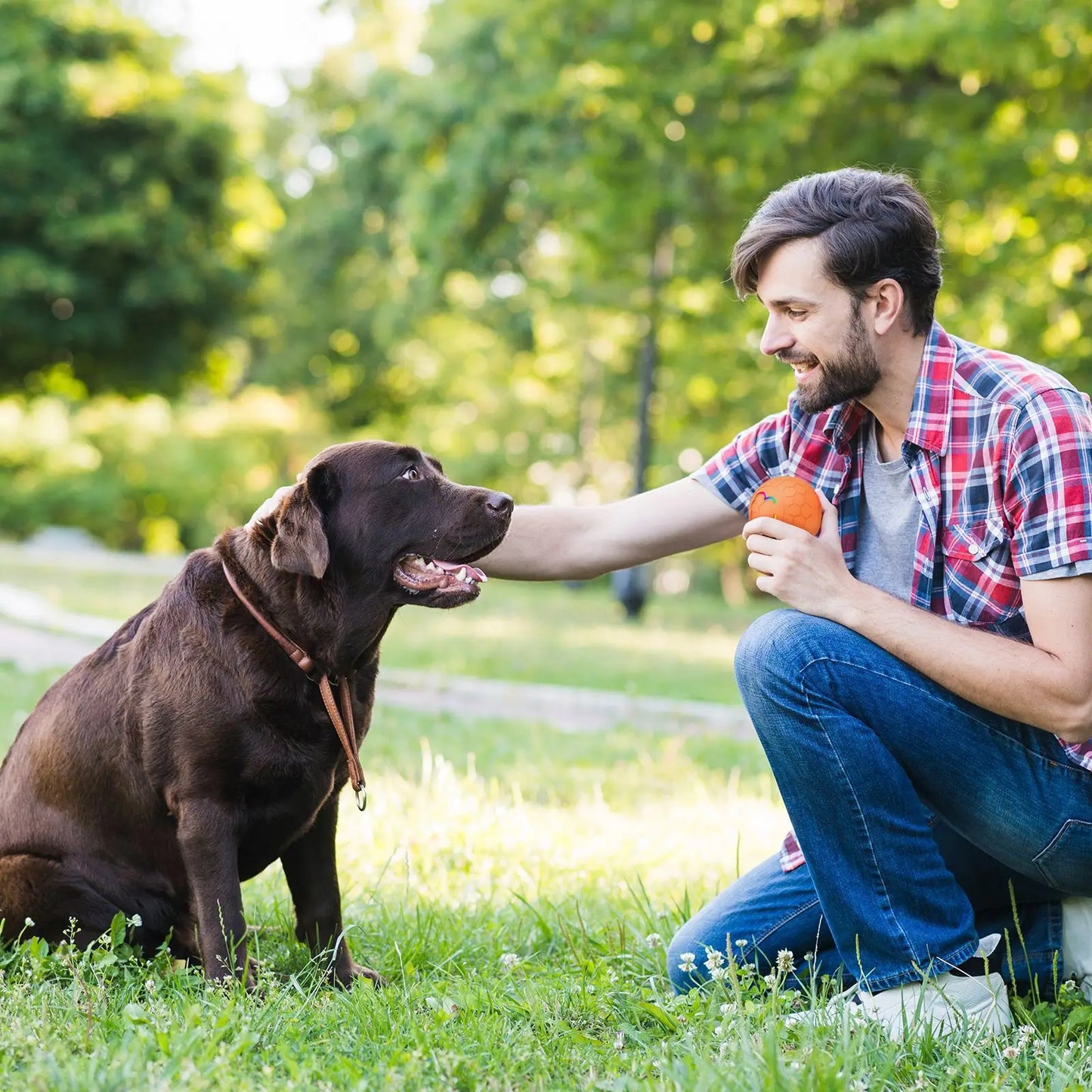 Rechargeable Interactive Dog Ball Toy