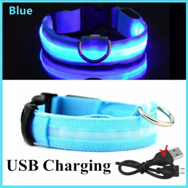 LED Rechargeable Dog Collar for Night Walks