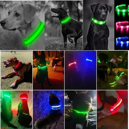 LED Rechargeable Dog Collar for Night Walks