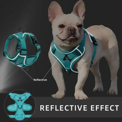 Reflective No-Pull Harness & Leash