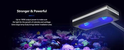 PopBloom RL180 180W Wi-Fi Reef Light Kit