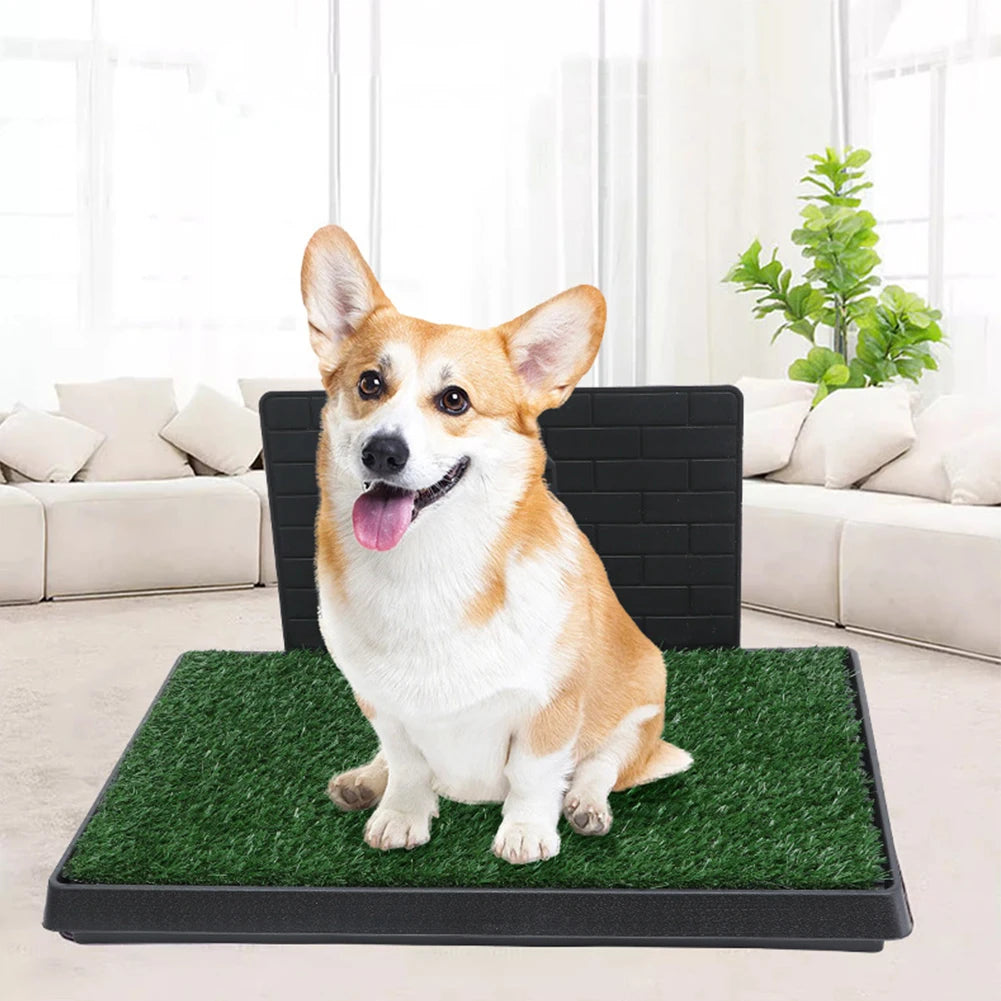 Washable Dog Grass Pad with Tray (For Indoor & Outdoor Use)