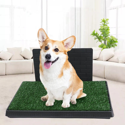 Washable Dog Grass Pad with Tray (For Indoor & Outdoor Use)