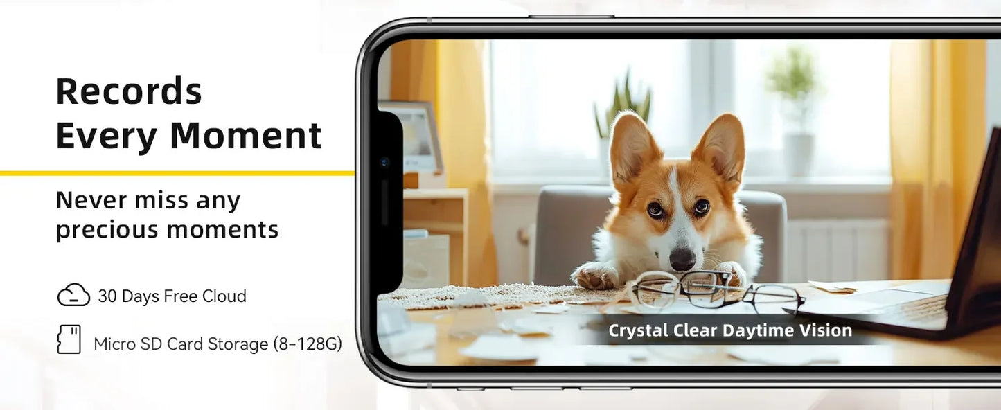 BoyKeep 2-Pack Pet Cam with Night Vision