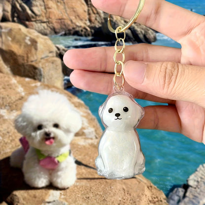 Pet Hair Memorial Keepsake Keychain