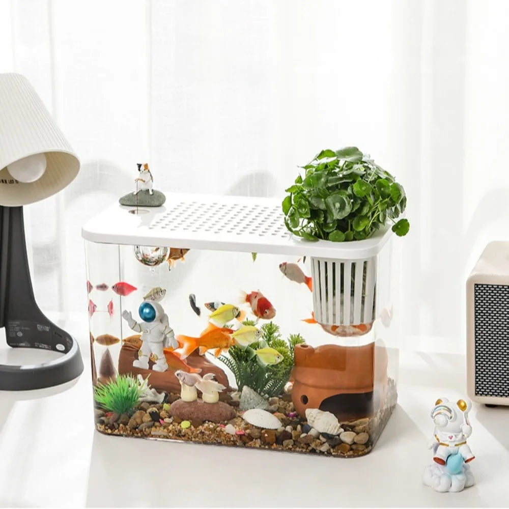 Clear Fish Tank with Lid