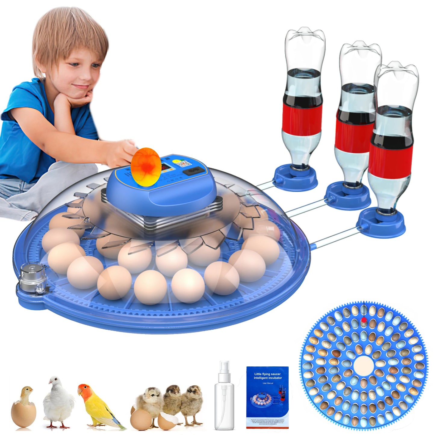 Automatic Egg Incubator with Egg Candler