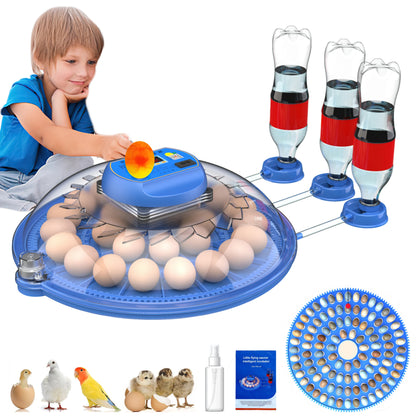Automatic Egg Incubator with Egg Candler