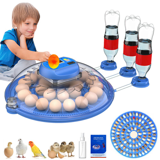 Automatic Egg Incubator with Egg Candler
