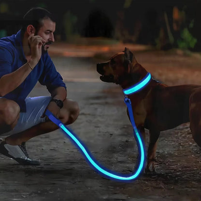 LED Rechargeable Dog Collar for Night Walks