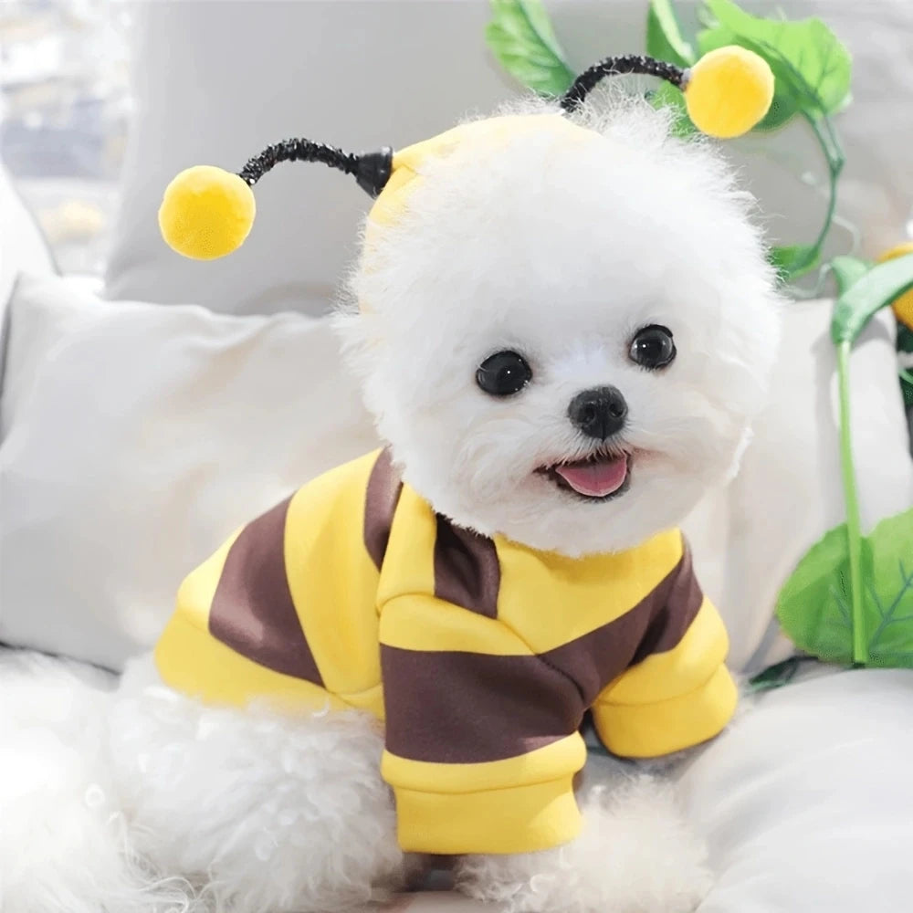 Cute Bee Pet Hoodie Costume