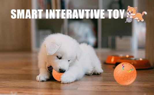 Rechargeable Interactive Dog Ball Toy