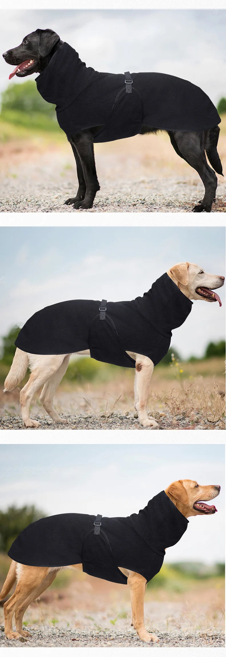 Windproof Winter Dog Coat
