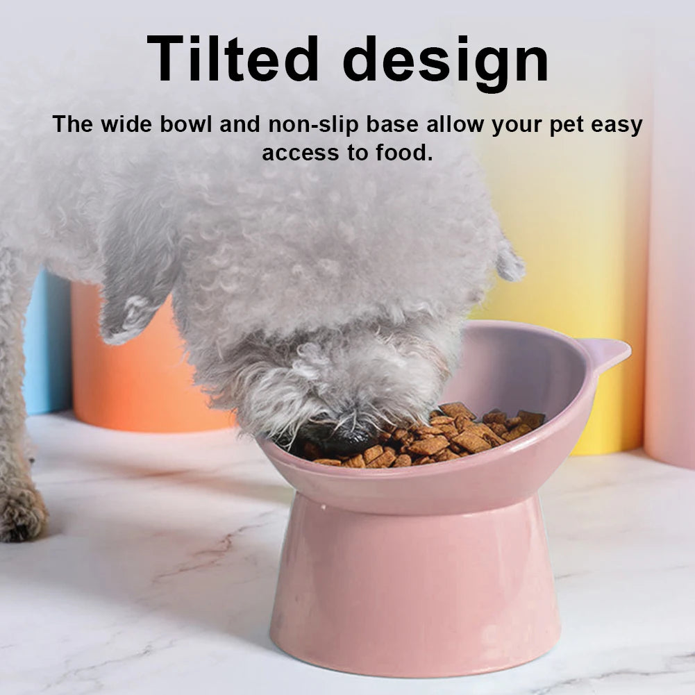 Ergonomic Tilted Raised Cat Food Bowl