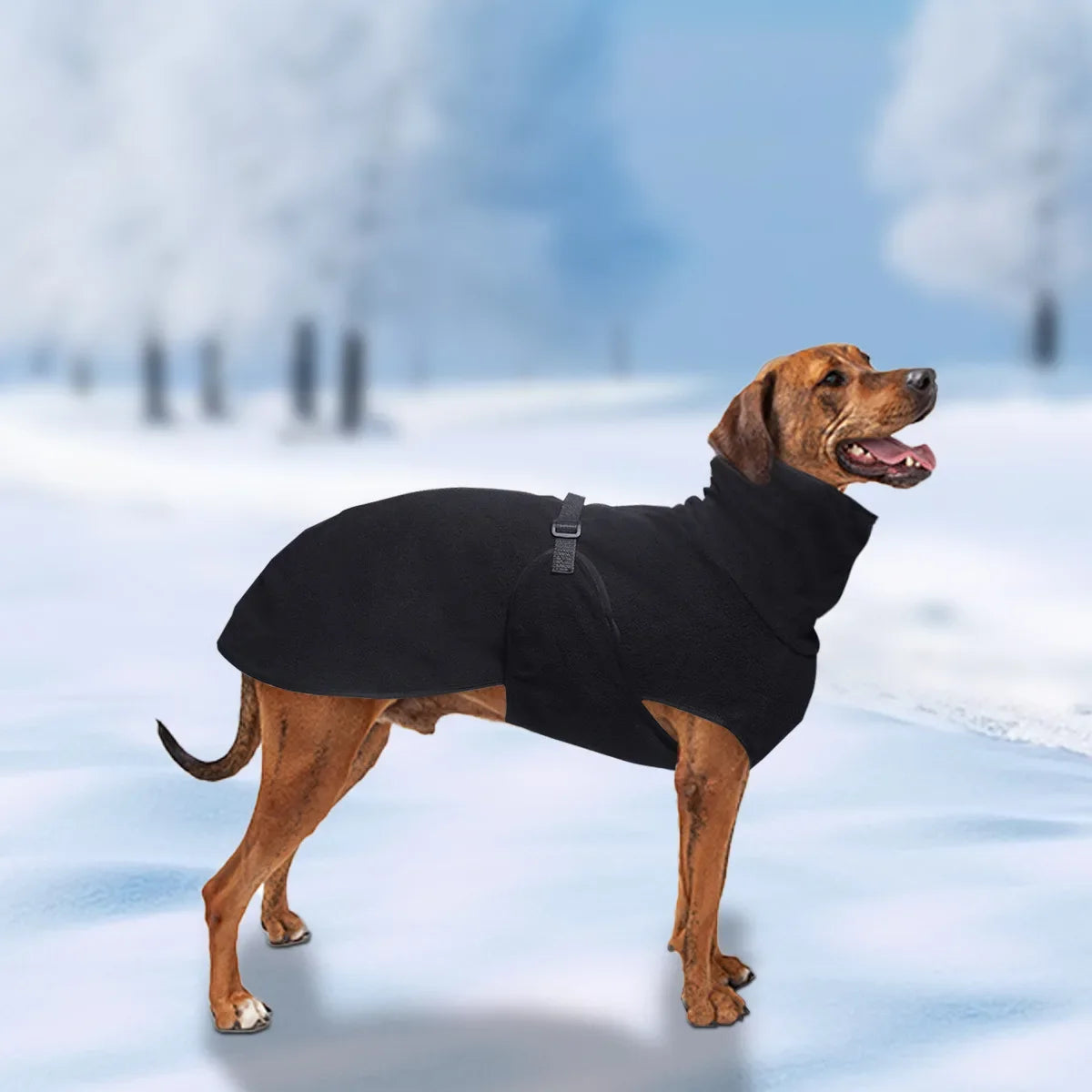 Windproof Winter Dog Coat