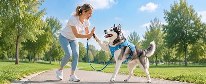 Pet Cooling Vest for Dogs