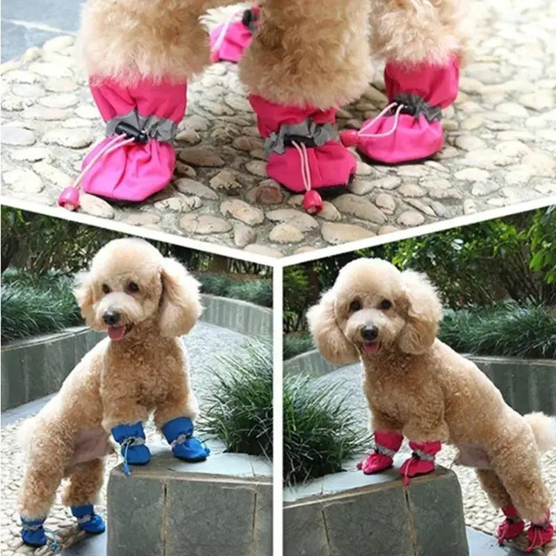 Waterproof Anti-Slip Dog Booties (4-Pack)