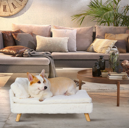 Minimalist Elevated Pet Sofa Bed