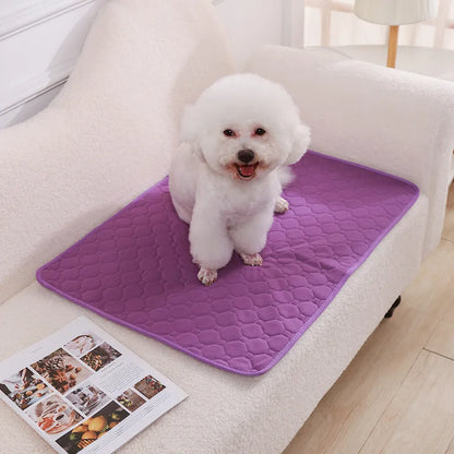 Washable and Waterproof Dog Pee Pad