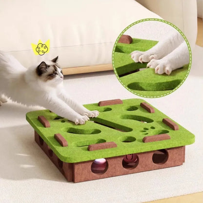 Interactive Cat Scratch Board with Balls