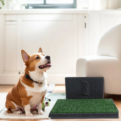 Washable Dog Grass Pad with Tray (For Indoor & Outdoor Use)