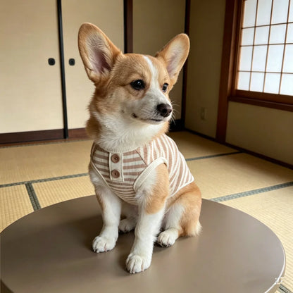 Striped Button Pet Shirt