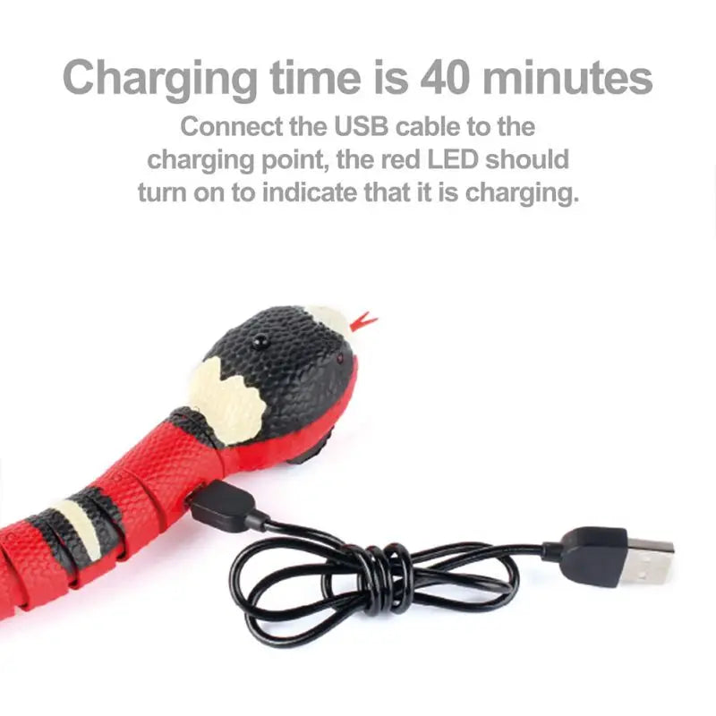 USB Rechargeable Smart Sensing Snake Cat Toy