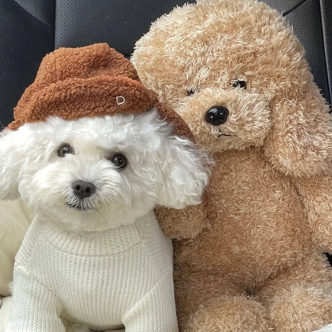 Warm Winter Hat for Small Dogs