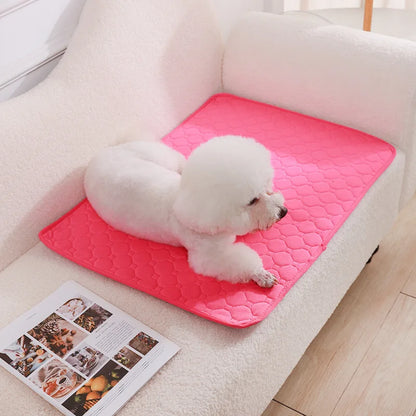 Washable and Waterproof Dog Pee Pad