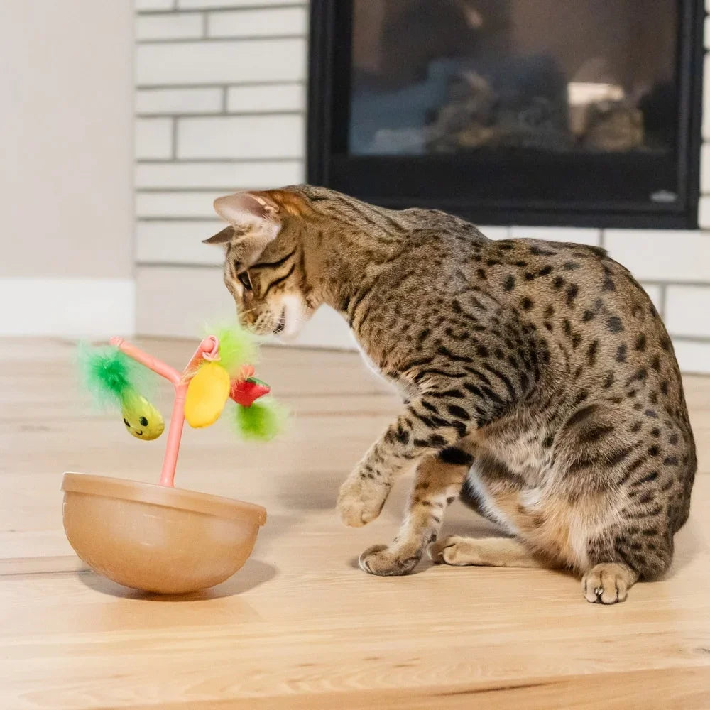 Wobbling Fruit Bowl Cat Toy