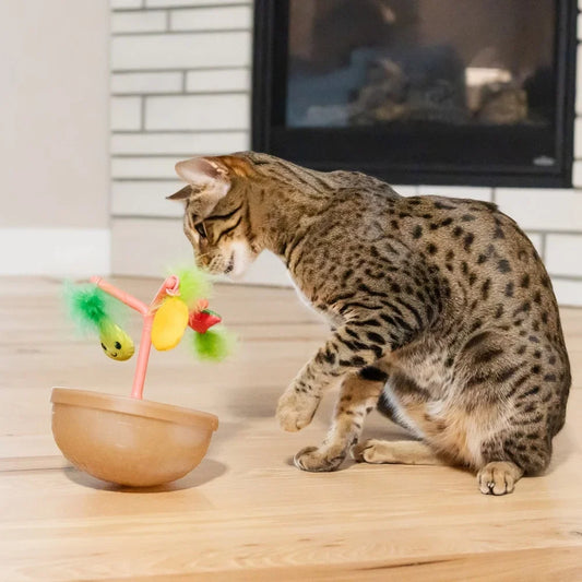 Wobbling Fruit Bowl Cat Toy
