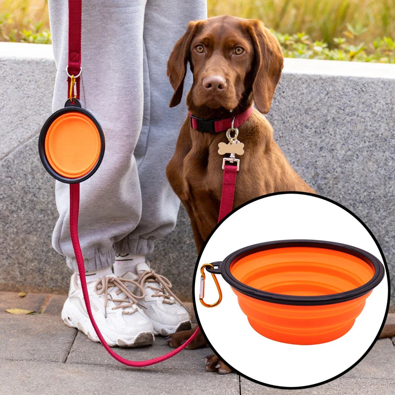 Collapsible Travel Pet Bowl with Carabiner