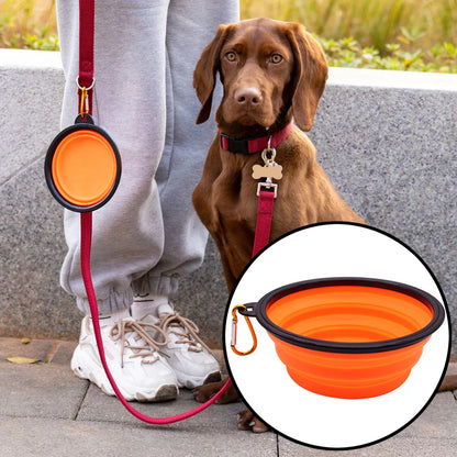 Collapsible Travel Pet Bowl with Carabiner