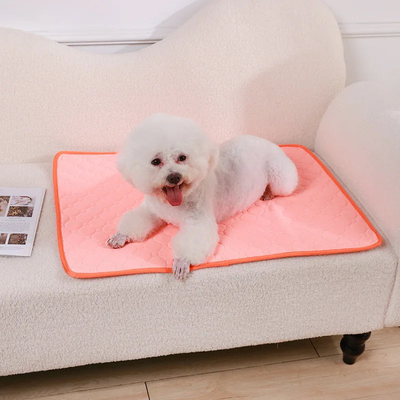 Washable and Waterproof Dog Pee Pad