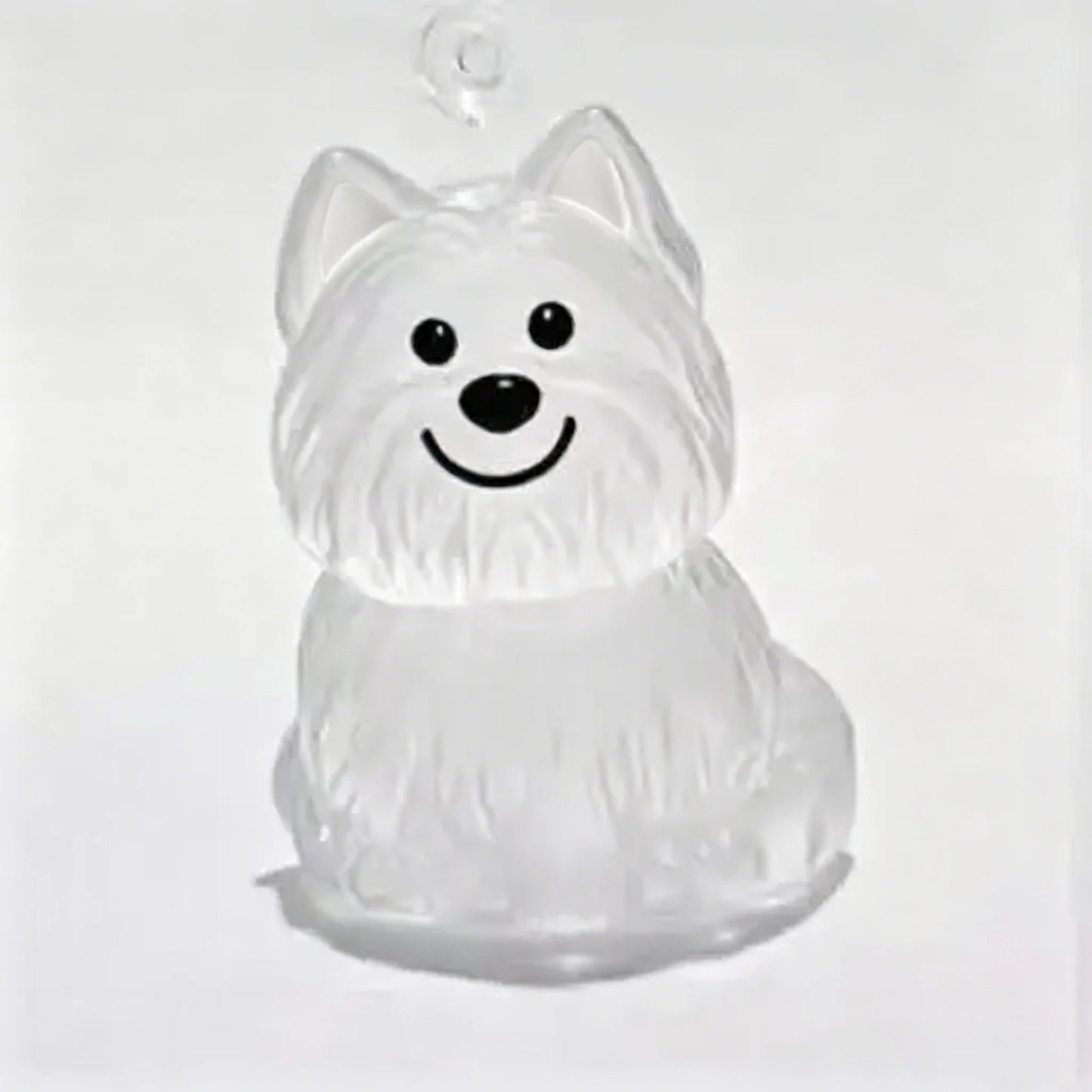 Pet Hair Memorial Keepsake Keychain