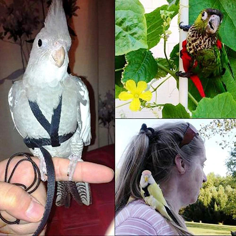 Bird Harness & Leash Set