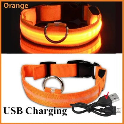 LED Rechargeable Dog Collar for Night Walks