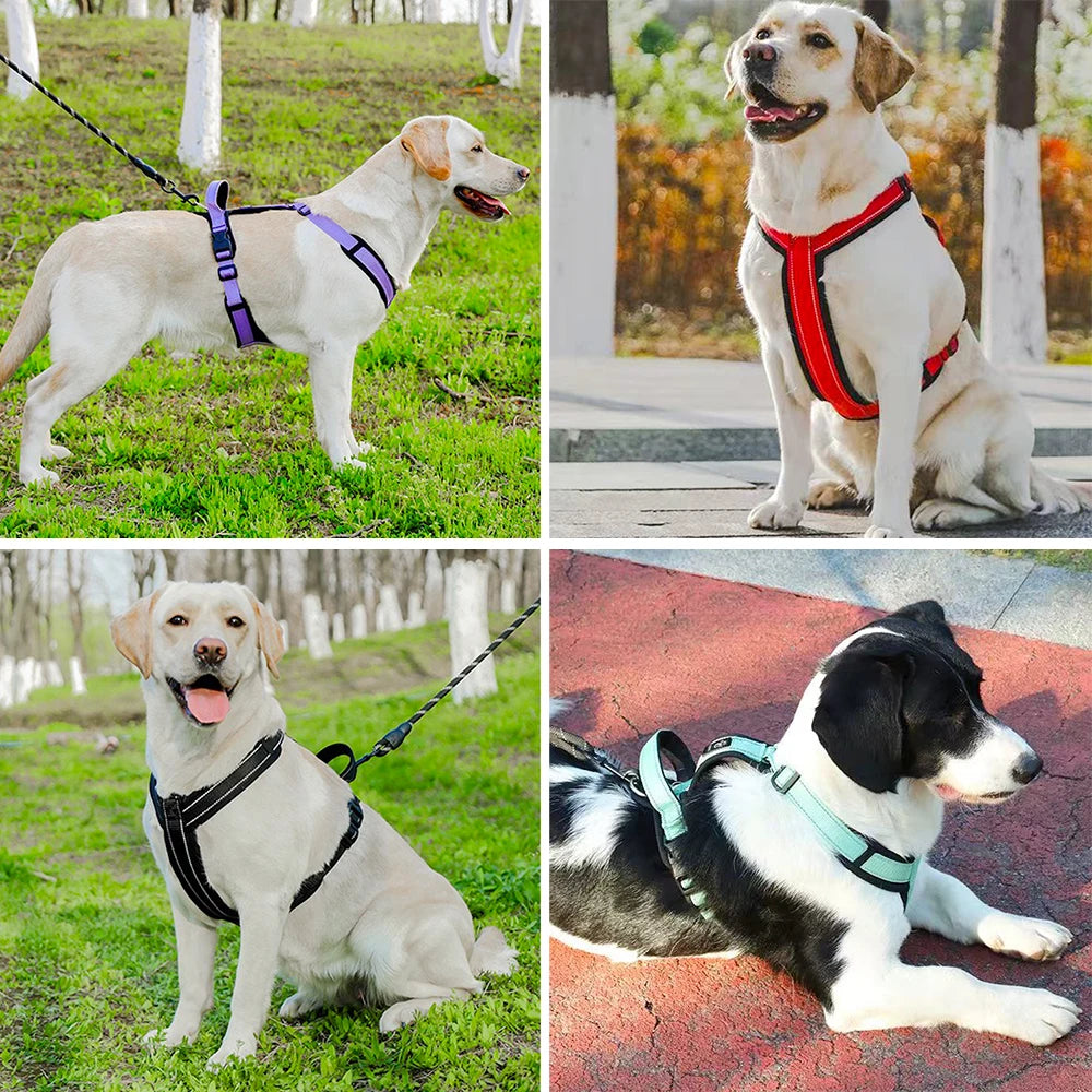 Reflective Adjustable Dog Harness with Optional Leash