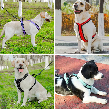 Reflective Adjustable Dog Harness with Optional Leash