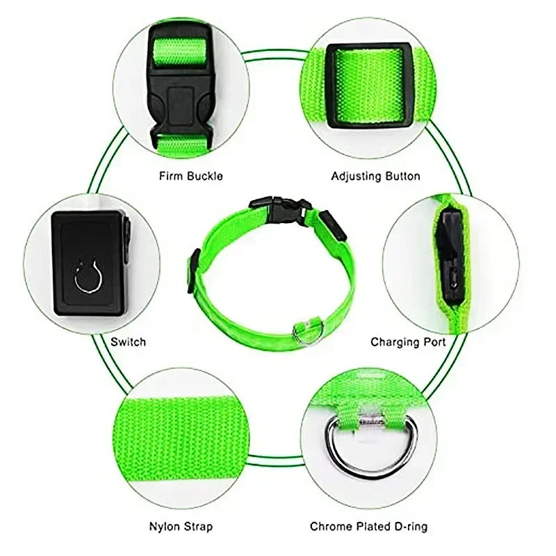 LED Rechargeable Dog Collar for Night Walks