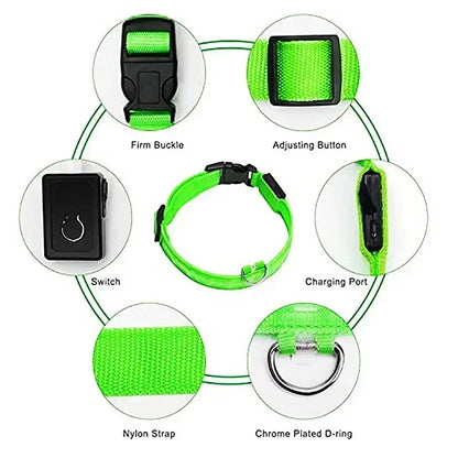 LED Rechargeable Dog Collar for Night Walks