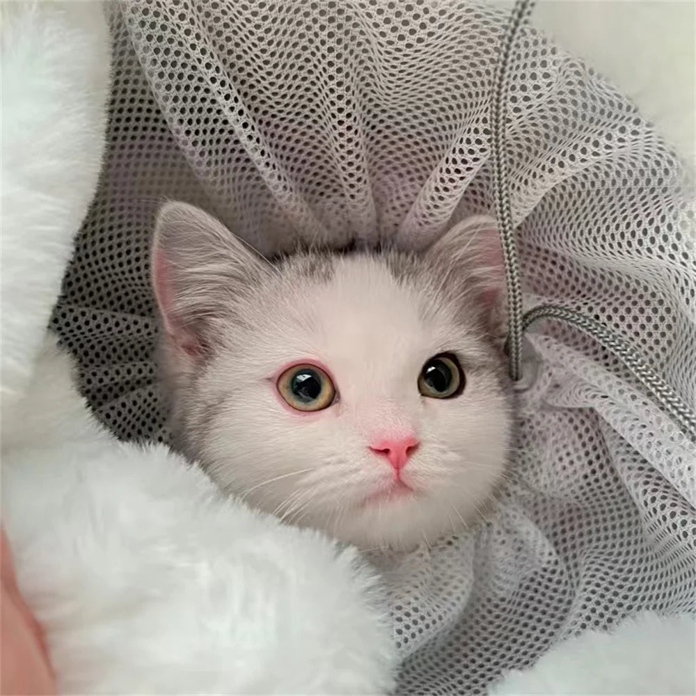 Luxury Travel Pet Carrier Backpack