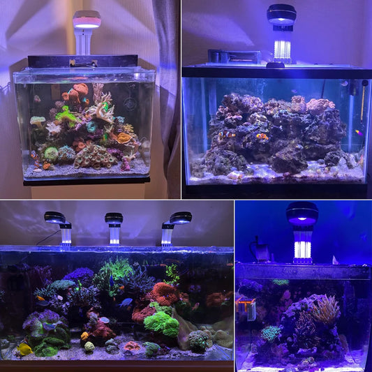 PopBloom RL60 60W Wi-Fi Reef Aquarium Light