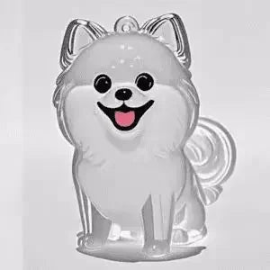 Pet Hair Memorial Keepsake Keychain