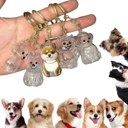 Pet Hair Memorial Keepsake Keychain