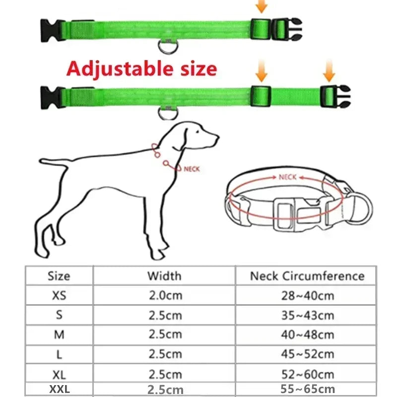 LED Rechargeable Dog Collar for Night Walks