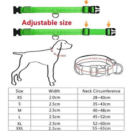 LED Rechargeable Dog Collar for Night Walks