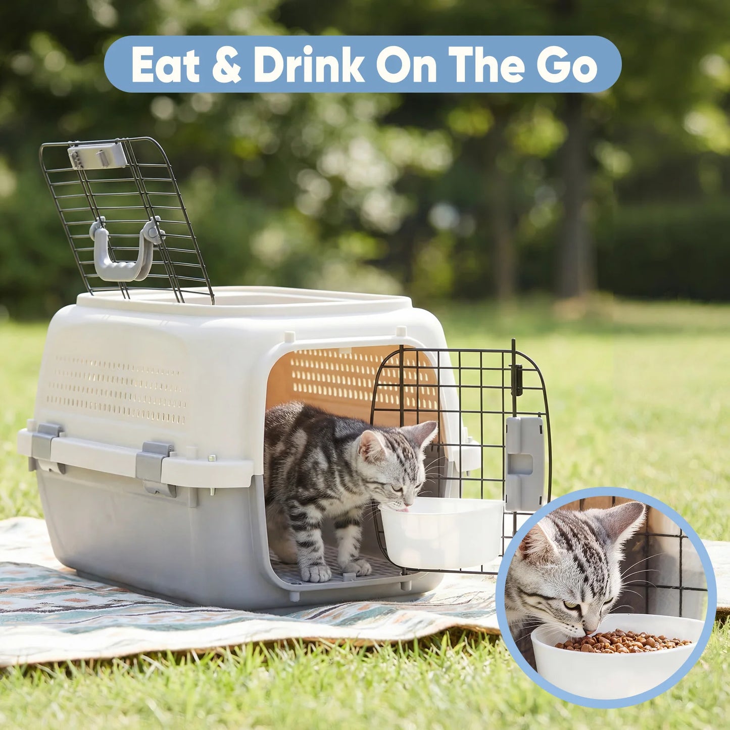 23-Inch Pet Carrier for Small Dogs & Cats