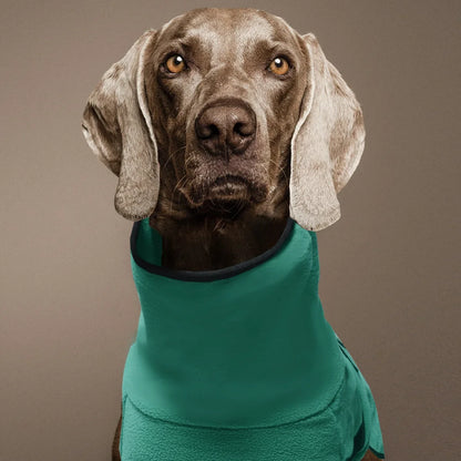 Windproof Winter Dog Coat