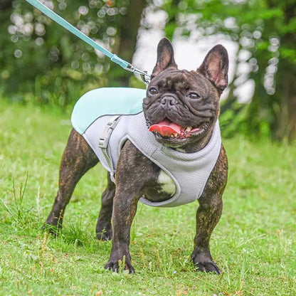Three-Layer Dog Cooling Vest